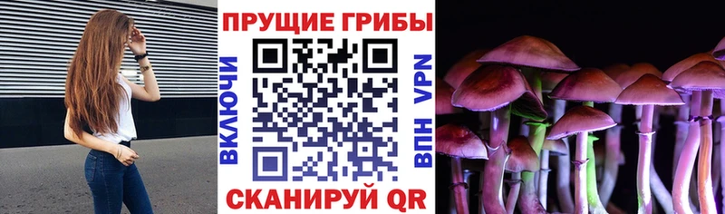 даркнет сайт  блэк спрут рабочий сайт  Галлюциногенные грибы Cubensis  Туран 